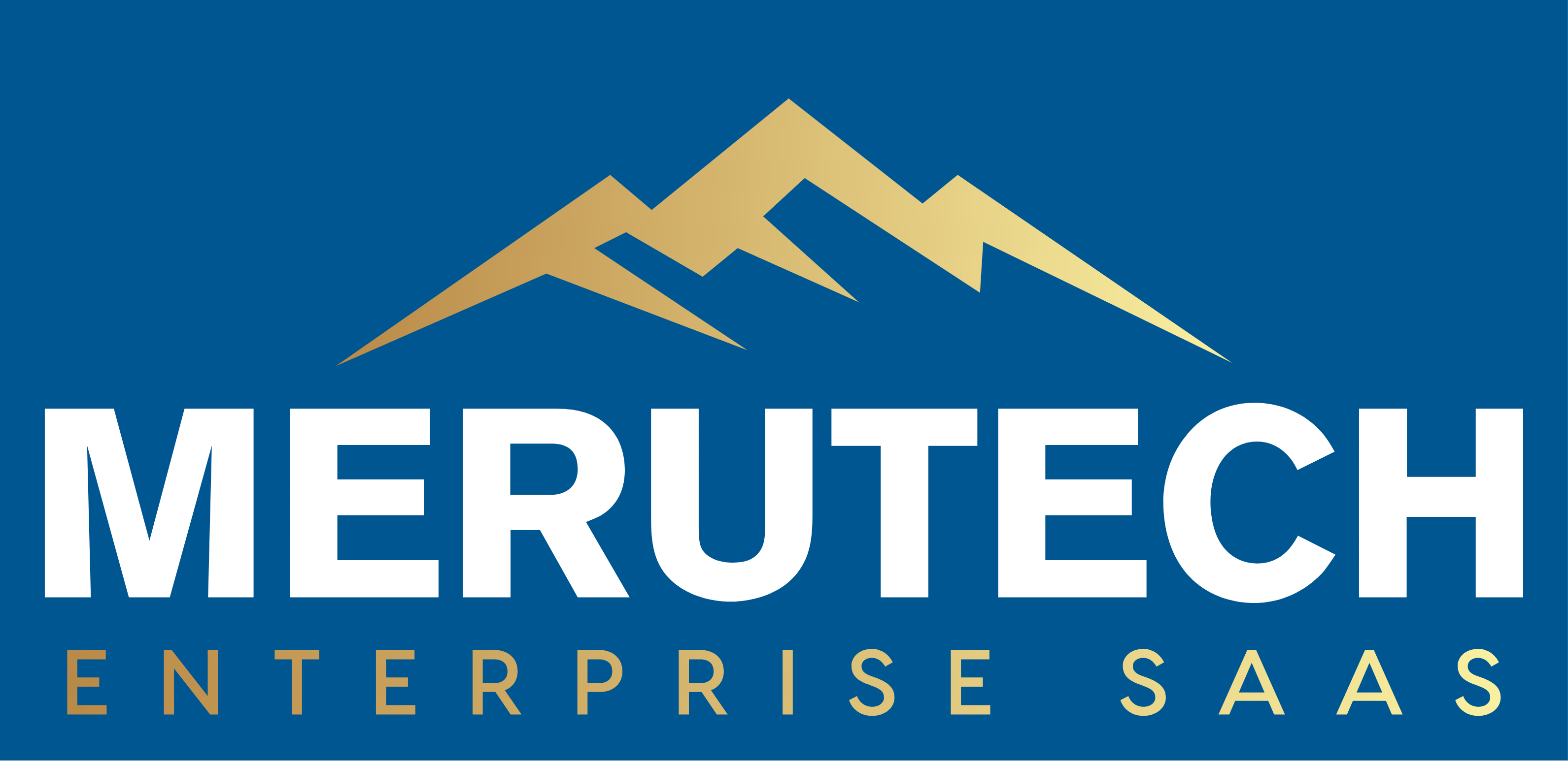 Merutech Oracle SaaS Solutions